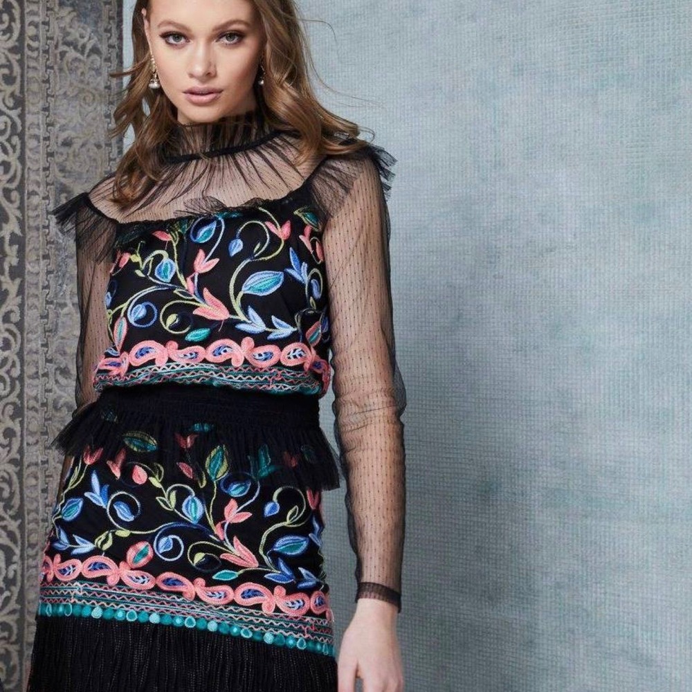 Elliatt Amelie Floral Embroidered High Neck Mesh long Sleeve Ruffle Top SZ S